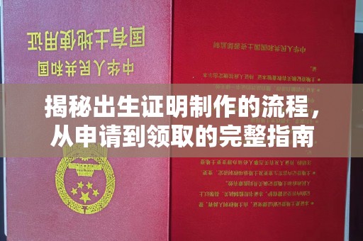 德江揭秘出生证明制作的流程，从申请到领取的完整指南